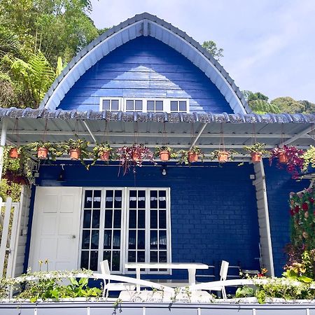 Blue Cabins By Pfordten Cottage Cameron Highlands Exteriér fotografie