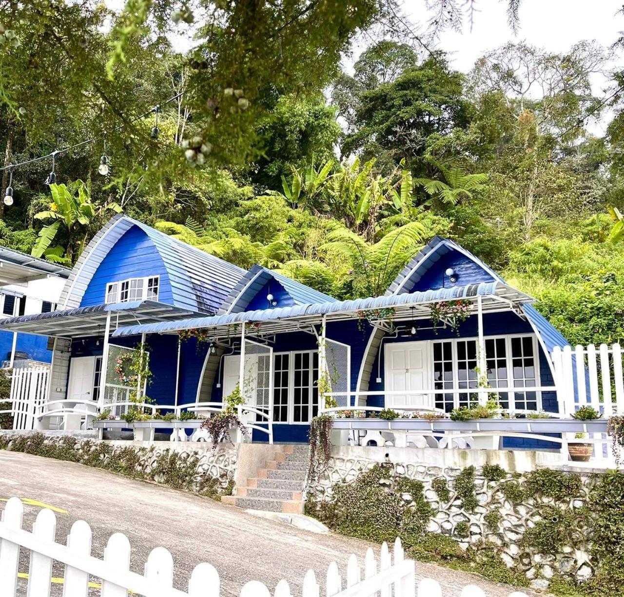 Blue Cabins By Pfordten Cottage Cameron Highlands Exteriér fotografie