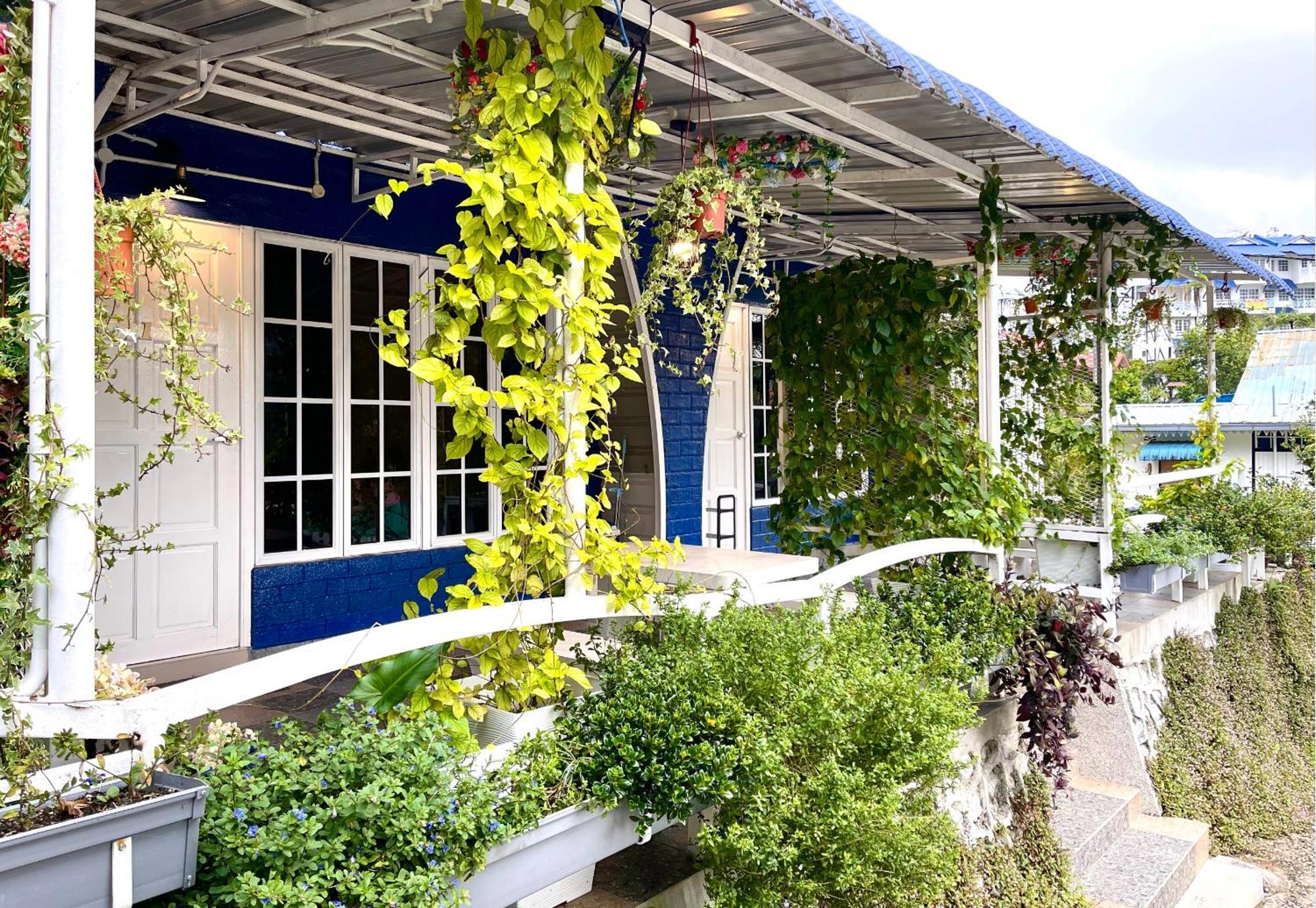 Blue Cabins By Pfordten Cottage Cameron Highlands Exteriér fotografie